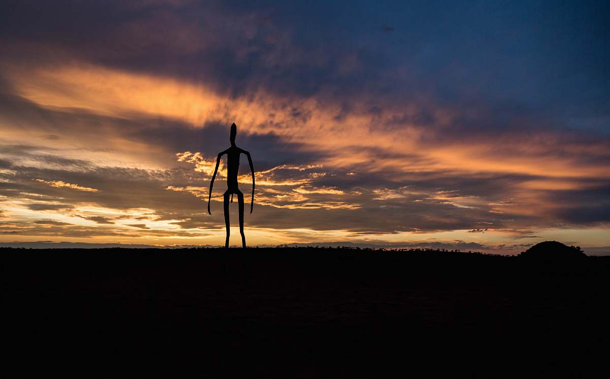 fitness silhouetto of creature during golden hour yoga